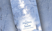 The Algebra of Snow